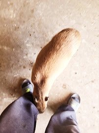 Ghost Ranch Exotics photo 2