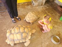 Ghost Ranch Exotics photo 4