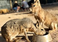 Ghost Ranch Exotics photo 5