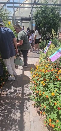 Botanical Garden at the Springs Preserve photo 2