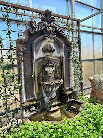 Botanical Garden at the Springs Preserve photo 4