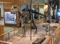 Geological Museum