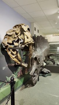 Geological Museum photo 2