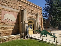 Geological Museum photo 3
