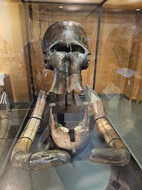 Geological Museum photo 5