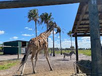 Wild Florida Drive-thru Safari Park photo 5