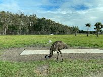 Wild Florida Drive-thru Safari Park photo 6