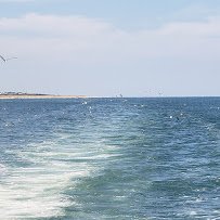 Virginia Aquarium Boat Tours