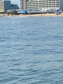 Virginia Aquarium Boat Tours photo 5