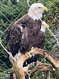 ZooAmerica
