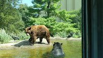 ZooAmerica photo 2