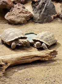 ZooAmerica photo 4