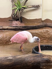 ZooAmerica photo 5
