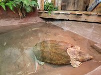 ZooAmerica photo 6