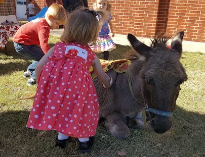 God's Little Critters Petting Zoo and Pony Parties, LLC photo 4