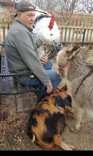 God's Little Critters Petting Zoo and Pony Parties, LLC photo 6