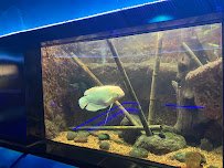 Aquarium photo 3