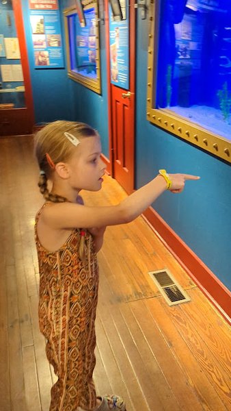 Ocean City Life-Saving Museum photo 2