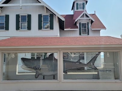 Ocean City Life-Saving Museum photo 6