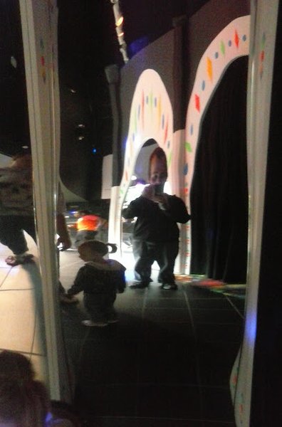 Amazing Mirror Maze photo 4