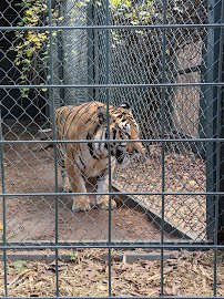 Bee City Zoo & Honey Bee Farm