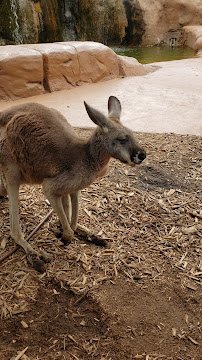 Bee City Zoo & Honey Bee Farm photo 2