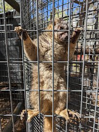 Bee City Zoo & Honey Bee Farm photo 4