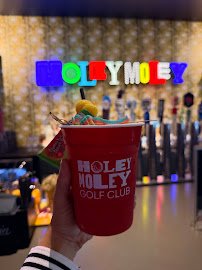 Holey Moley Golf Club Irvine photo 4