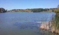 Lake Bonin Rollerena photo 6