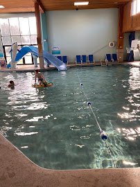 Dolphins Cove photo 5