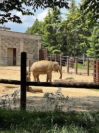 Elephant Trails photo 6