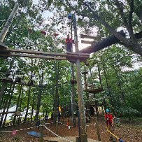 Asheville Treetops Adventure Park photo 3