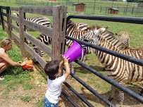 Chestatee Wildlife Preserve & Zoo photo 3