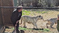 Chestatee Wildlife Preserve & Zoo photo 5