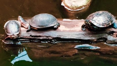 Kalamazoo Nature Center photo 2