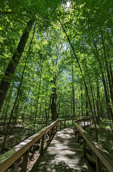 Kalamazoo Nature Center photo 4