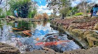 Zilker Botanical Garden photo 3
