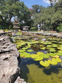 Zilker Botanical Garden photo 5
