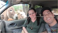 Wild Animal Safari - Pine Mountain, Georgia photo 2