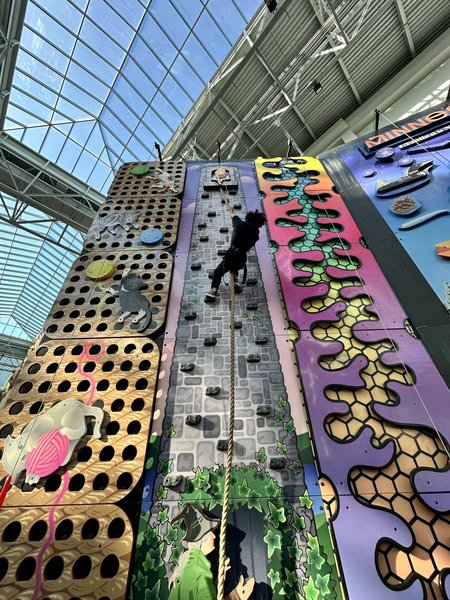 ClimbZone at Mall of America photo 3