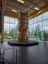 Apex Jumps Trampoline Park - Dublin, OH photo 5