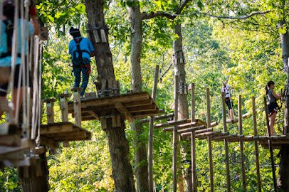 The Adventure Park at the Discovery Museum photo 3