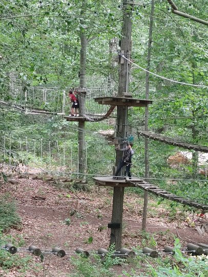 The Adventure Park at the Discovery Museum photo 4