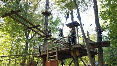 The Adventure Park at the Discovery Museum photo 5