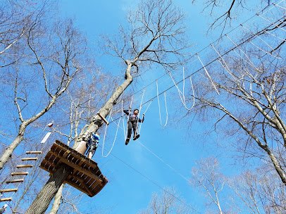 The Adventure Park at the Discovery Museum photo 6