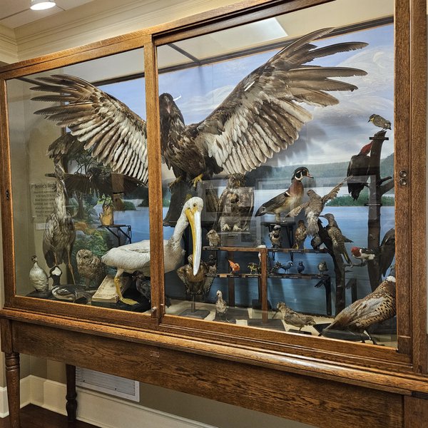 Guntersville Museum photo 4