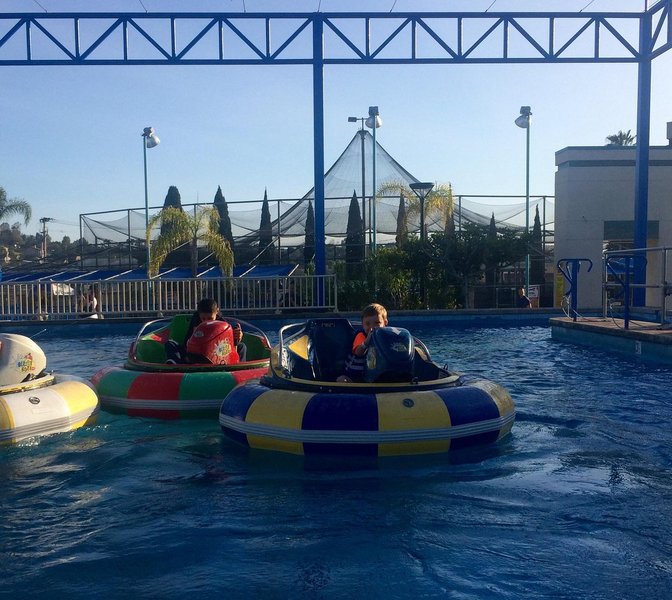 Boomers Vista photo 5