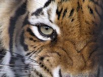 BREC's Baton Rouge Zoo