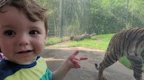 BREC's Baton Rouge Zoo photo 2