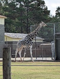 BREC's Baton Rouge Zoo photo 4